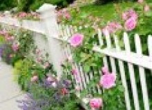 Kwikfynd Garden fencing
waggrakine
